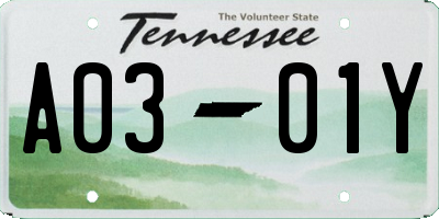 TN license plate A0301Y