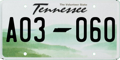 TN license plate A0306O