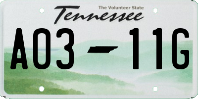 TN license plate A0311G