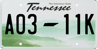 TN license plate A0311K