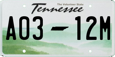 TN license plate A0312M