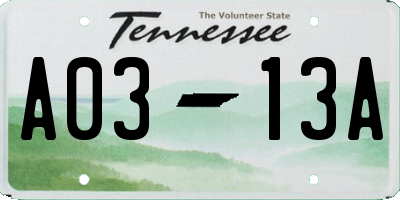 TN license plate A0313A
