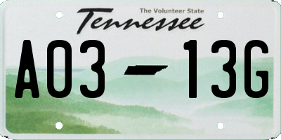 TN license plate A0313G