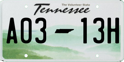 TN license plate A0313H