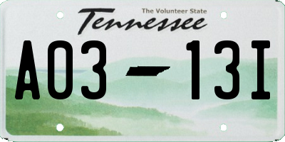 TN license plate A0313I