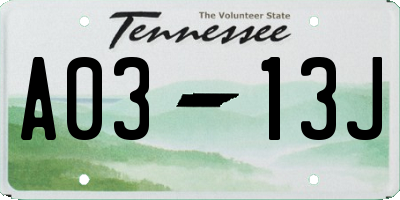 TN license plate A0313J