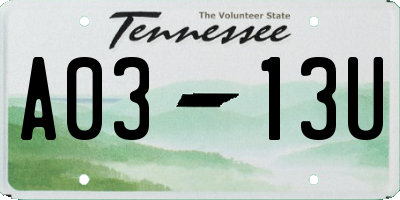 TN license plate A0313U