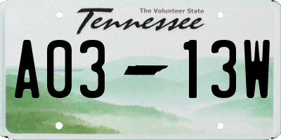 TN license plate A0313W