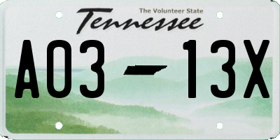 TN license plate A0313X