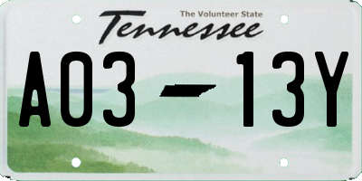 TN license plate A0313Y