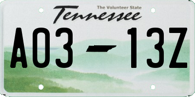 TN license plate A0313Z