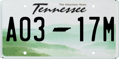 TN license plate A0317M