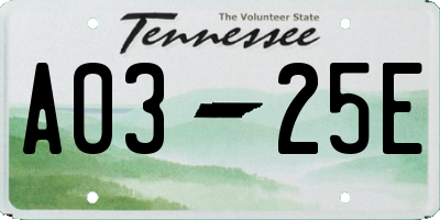 TN license plate A0325E