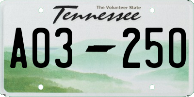 TN license plate A0325O