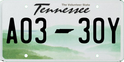 TN license plate A0330Y