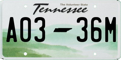 TN license plate A0336M