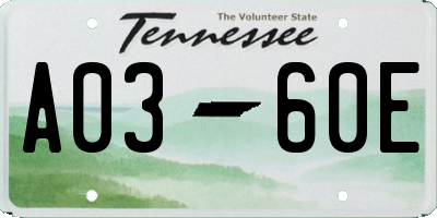 TN license plate A0360E