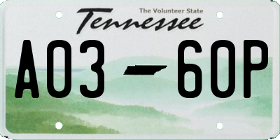 TN license plate A0360P