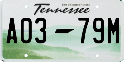 TN license plate A0379M