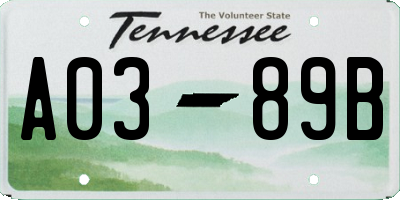 TN license plate A0389B