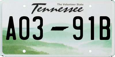 TN license plate A0391B