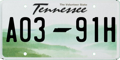 TN license plate A0391H