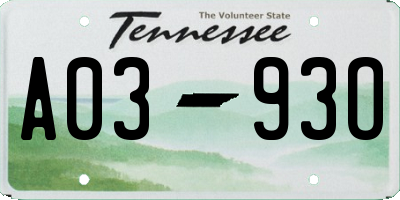 TN license plate A0393O