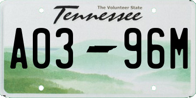 TN license plate A0396M