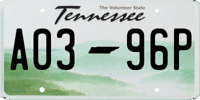 TN license plate A0396P