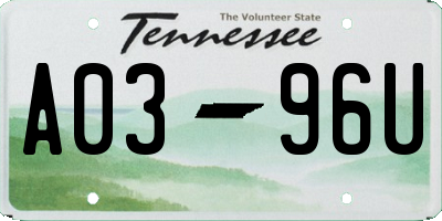 TN license plate A0396U