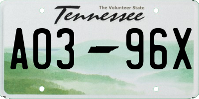 TN license plate A0396X