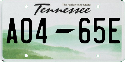 TN license plate A0465E