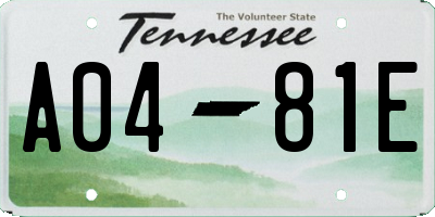 TN license plate A0481E