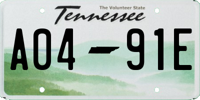 TN license plate A0491E