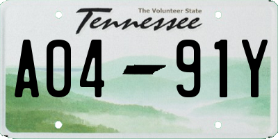 TN license plate A0491Y
