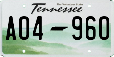 TN license plate A0496O