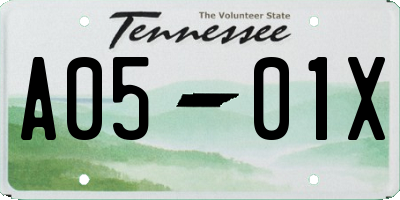 TN license plate A0501X