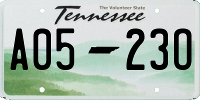 TN license plate A0523O