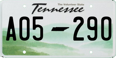 TN license plate A0529O