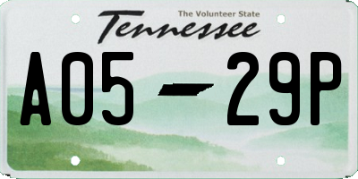 TN license plate A0529P