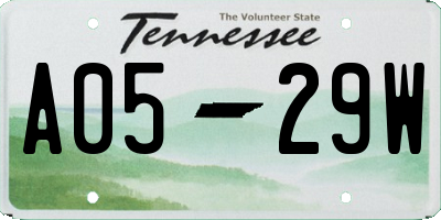 TN license plate A0529W