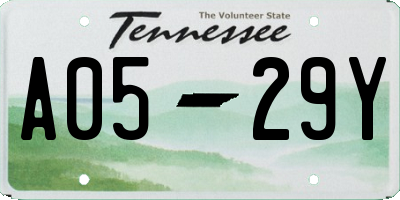 TN license plate A0529Y