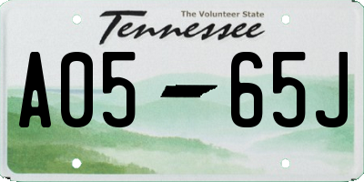 TN license plate A0565J