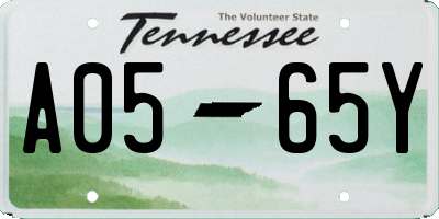 TN license plate A0565Y