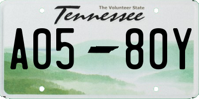 TN license plate A0580Y