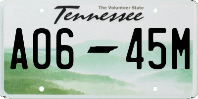 TN license plate A0645M