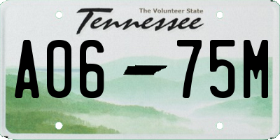 TN license plate A0675M