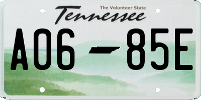 TN license plate A0685E