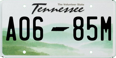 TN license plate A0685M