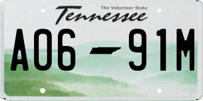 TN license plate A0691M